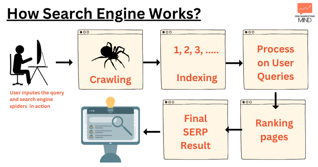 SEO Basics 2024: how search engine works and process search queries